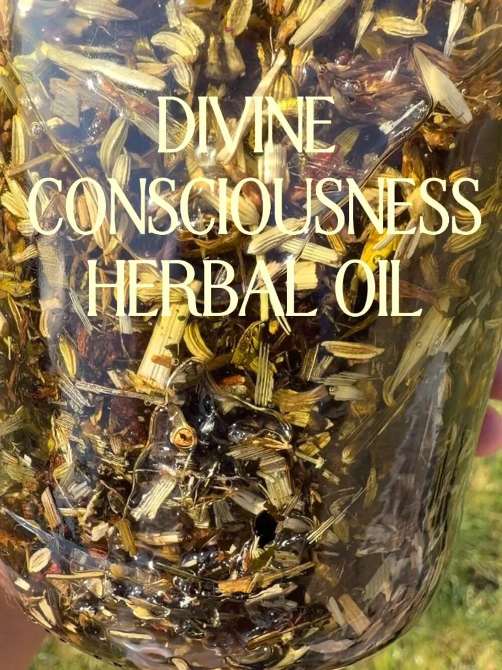 1 fl oz Divine Consciousness Oil: Ayurvedic Hair Growth Serum: 16 Herbs & Oils